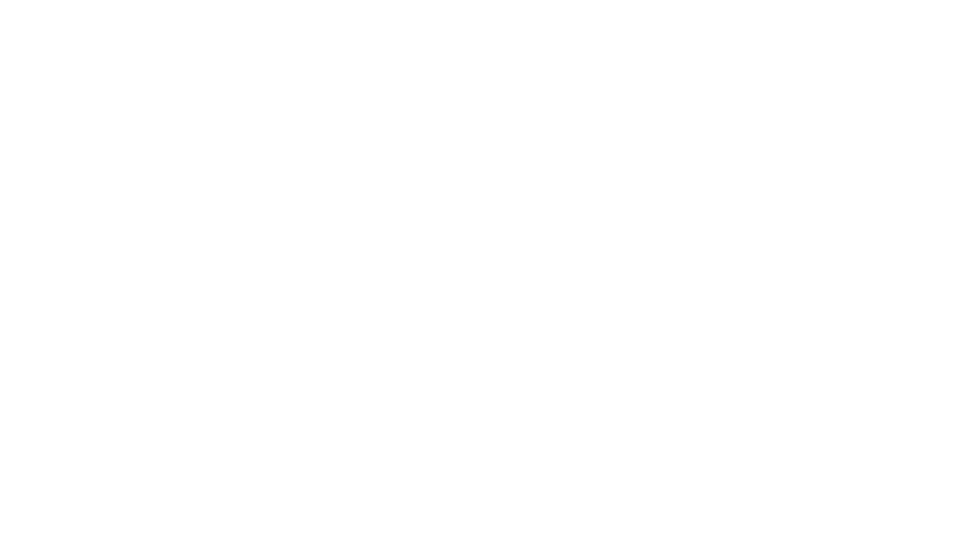 Hub Primavera logo