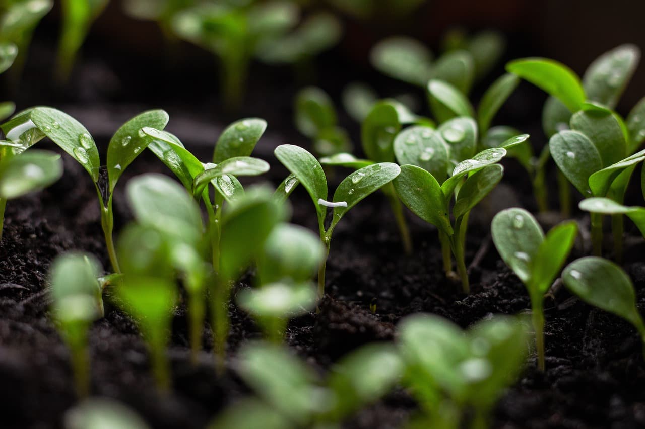 Sustainability: A Key Component of Employee Value