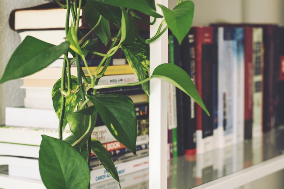 5 Types of Work Environments That Support Unique Employee